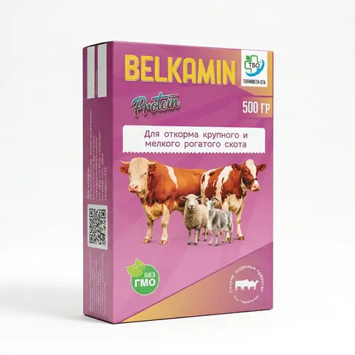 Belkamin
