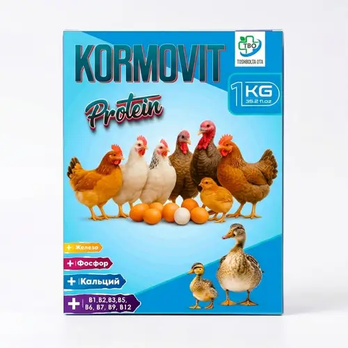 Kormovit tovuq